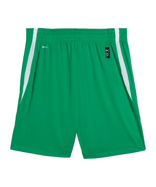 PUMA Teamjaws Starter Short Grün F10 - gruen