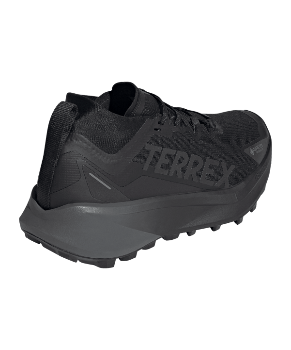 adidas Damen Terrex Agravic GTX Laufschuh Schwarz - schwarz