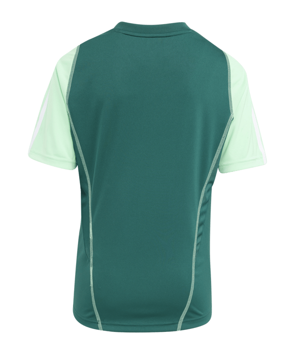 adidas Tiro 23 Competition Trikot Kids Grün - gruen