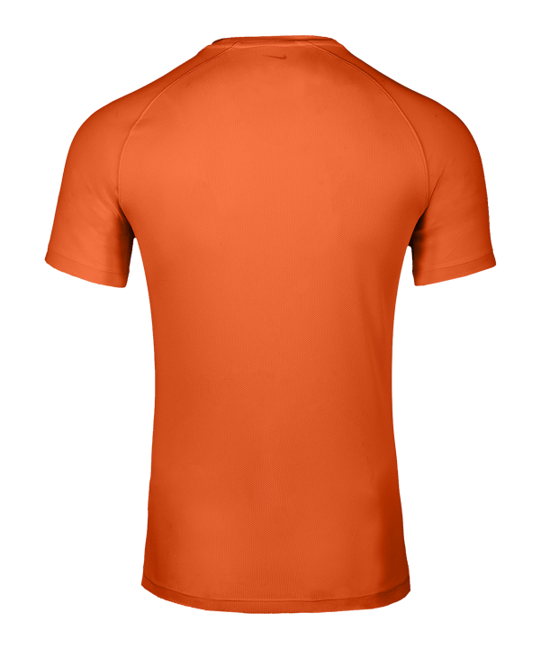 Nike Park VIII Trikot Orange F819 - orange