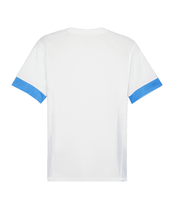 PUMA teamGOAL Matchday Trikot Weiss Blau F12 - weiss