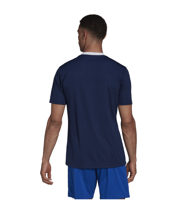adidas Entrada 22 Trikot Blau - blau