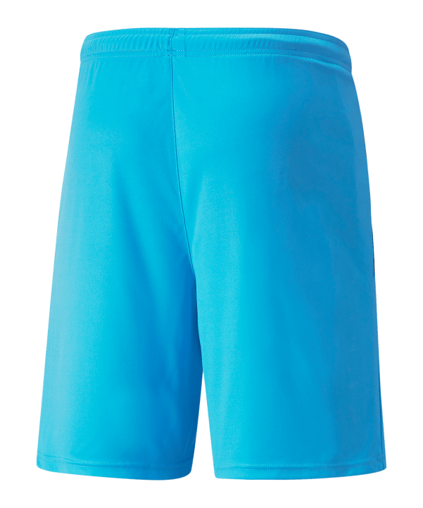 PUMA teamLIGA Short Blau Schwarz F40 - blau