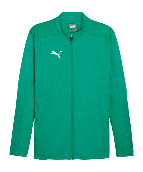 PUMA teamFINAL Trainingsjacke Grün F05 - gruen