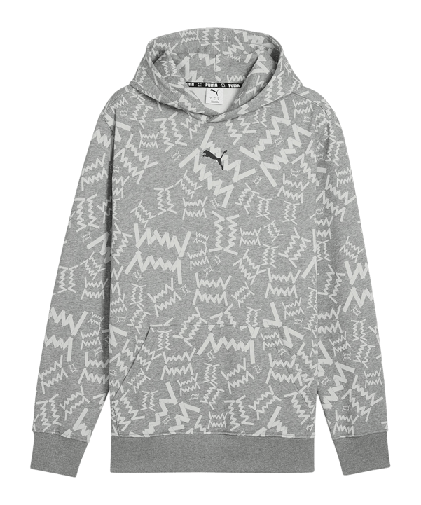 PUMA Teamjaws Post Game Hoody Grau F03 - grau