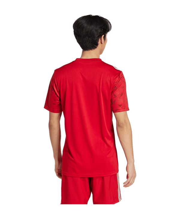 adidas Team Icon 25 Trikot Rot - rot