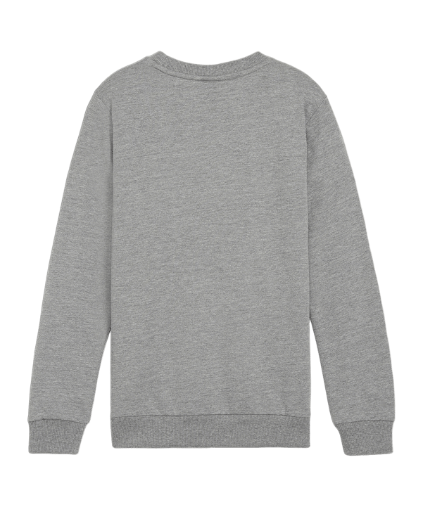 PUMA teamGOAL Casuals Sweatshirt Kids Grau F33 - grau