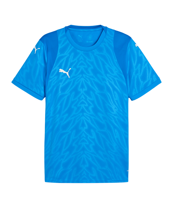 PUMA Trikot Blau F02 - blau