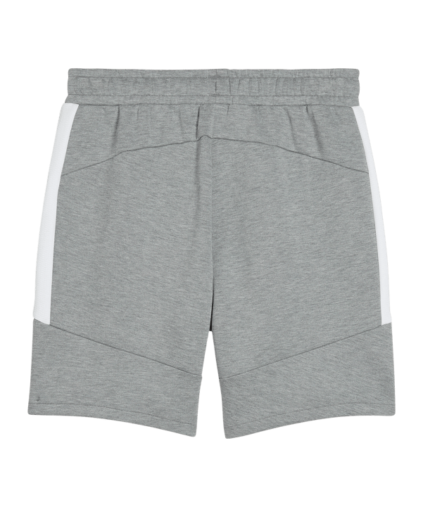 PUMA teamEVOSTRIPE Short Grau F33 - grau