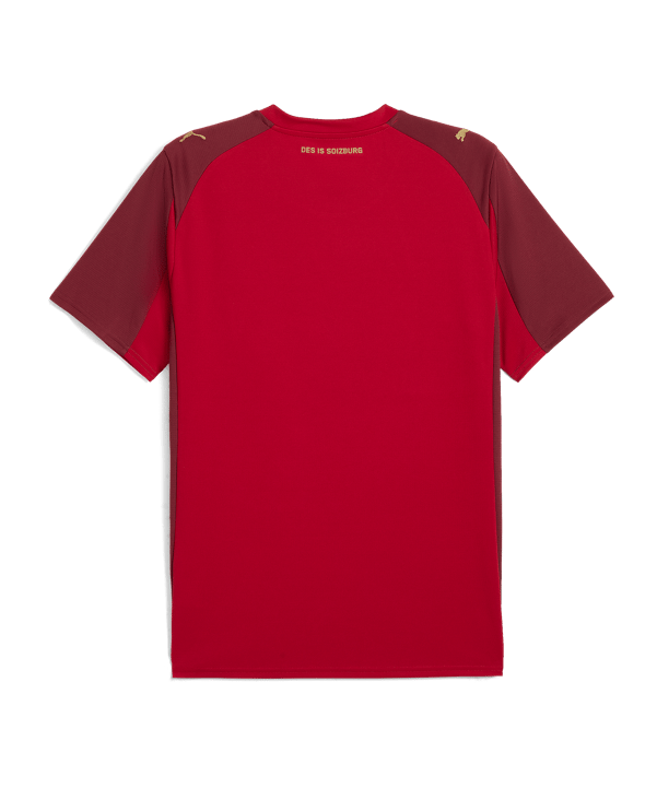 PUMA Red Bull Salzburg Trikot 3rd 2025/2026 Rot F04 - rot