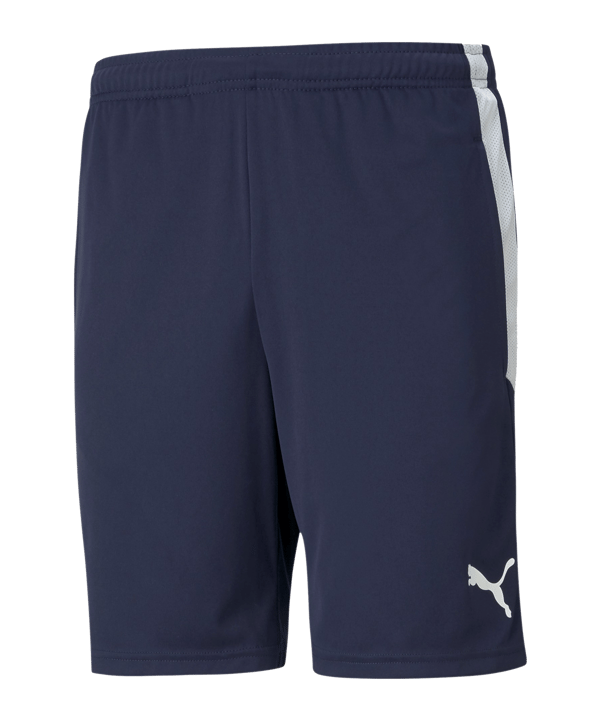 PUMA teamLIGA Training Short Blau F06 - blau