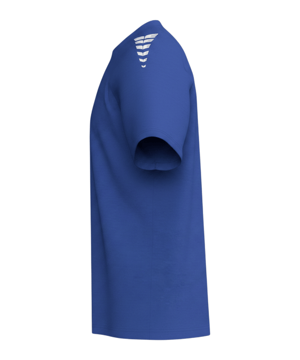 Erima CMPT  Wings T-Shirt Blau - blau