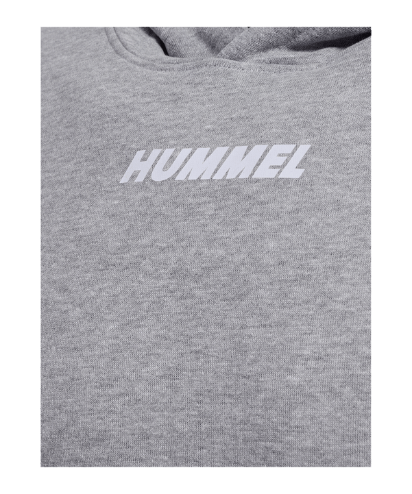 Hummel hmlELEMENTAL Hoody Grau F2006 - grau