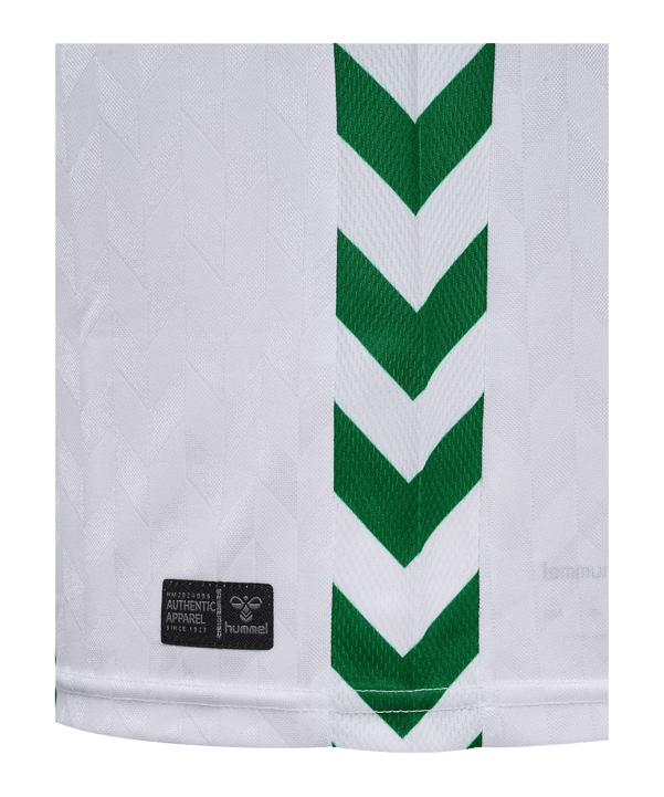hummel SV Werder Bremen Shirt Home 2026/2027 Groen K6839 - groen