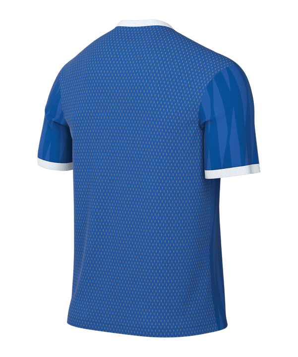 Nike Challenge VI Trikot Blau F463 - blau
