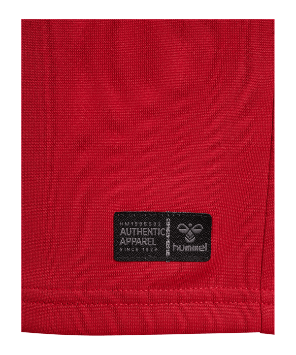 hummel DBU Trikot Home 2026 Kids Rot F3365 - rot