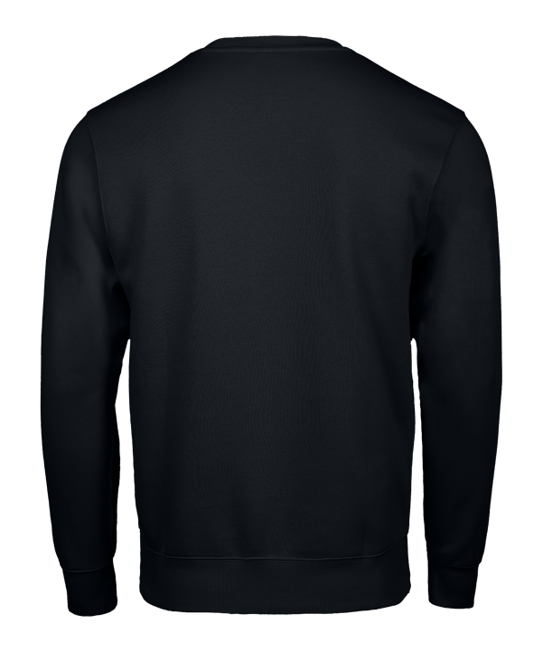 Nike Park 26 Swoosh Sweatshirt Kids Schwarz F010 - schwarz