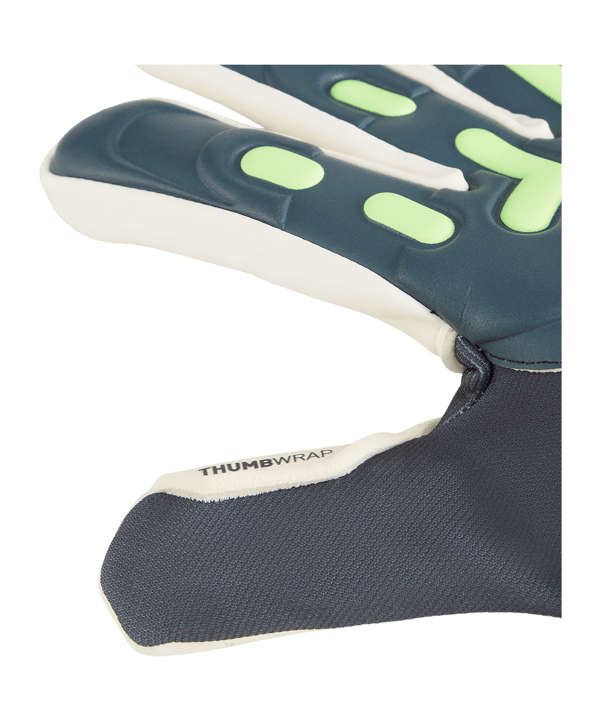 PUMA FUTURE Match NC Torwarthandschuhe Light Out Grau F05 - grau