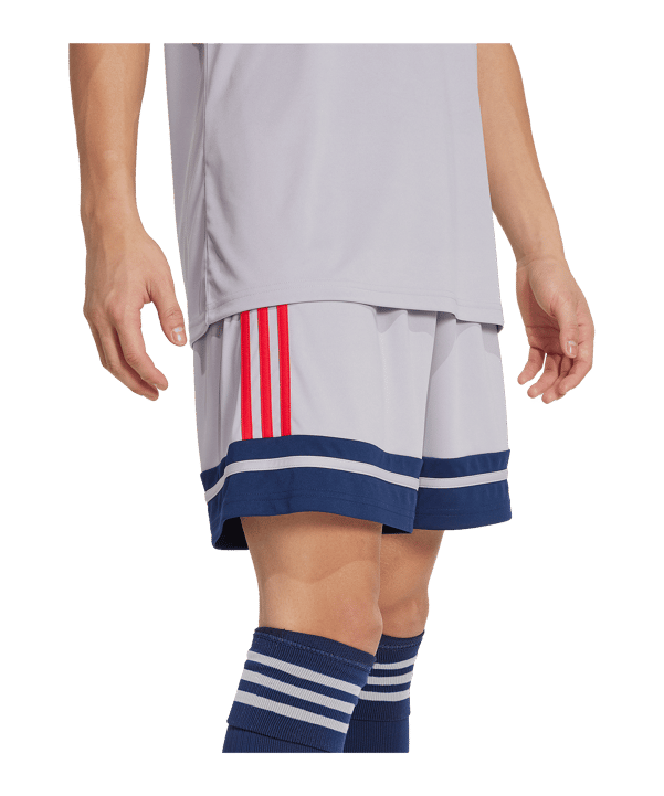 adidas Squadra 25 Short Grau - grau