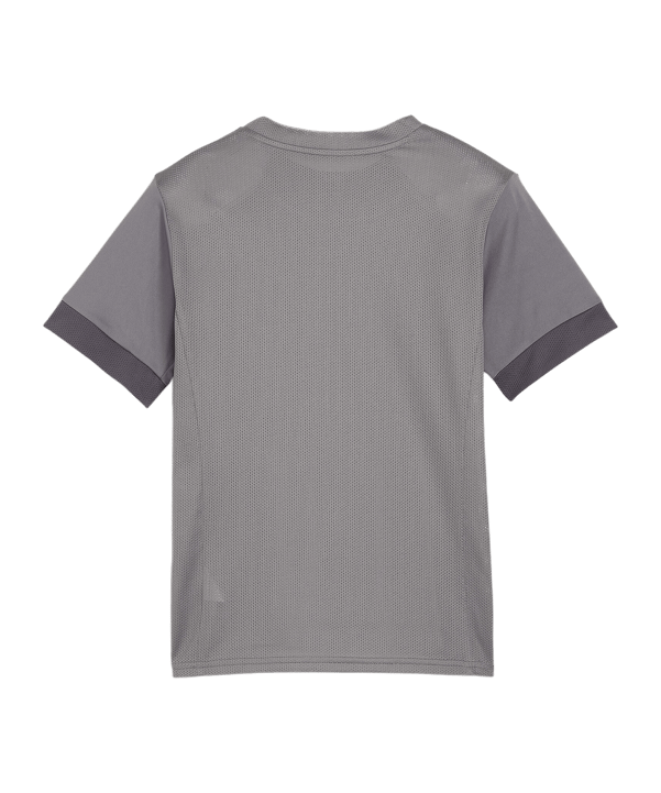 PUMA teamGOAL Matchday Trikot Kids Grau Weiss F13 - grau