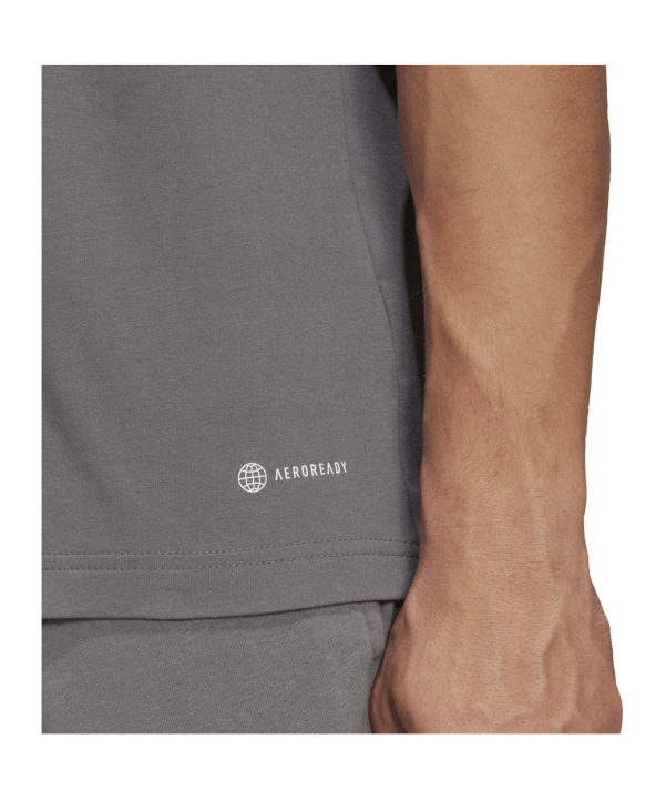 adidas Entrada 22 T-Shirt Grau - grau