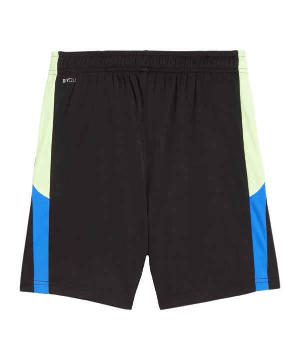 PUMA IndividualLIGA Short Kids Schwarz F02 - schwarz