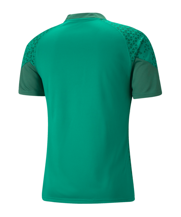 PUMA teamCUP Trainingsshirt Grün F05 - gruen