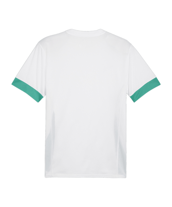 PUMA teamGOAL Matchday Trikot Weiss Grün F15 - weiss