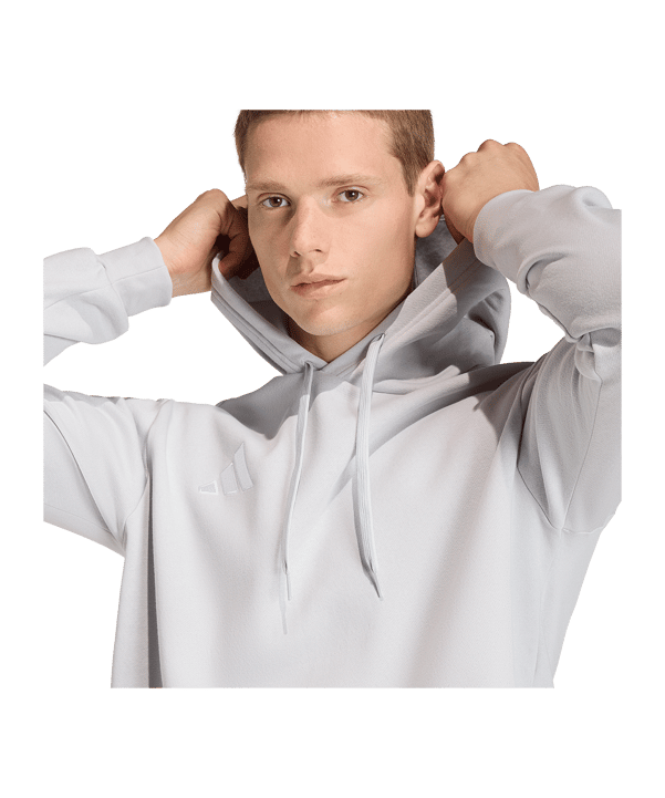 adidas Entrada 26 Hoody Grau - grau