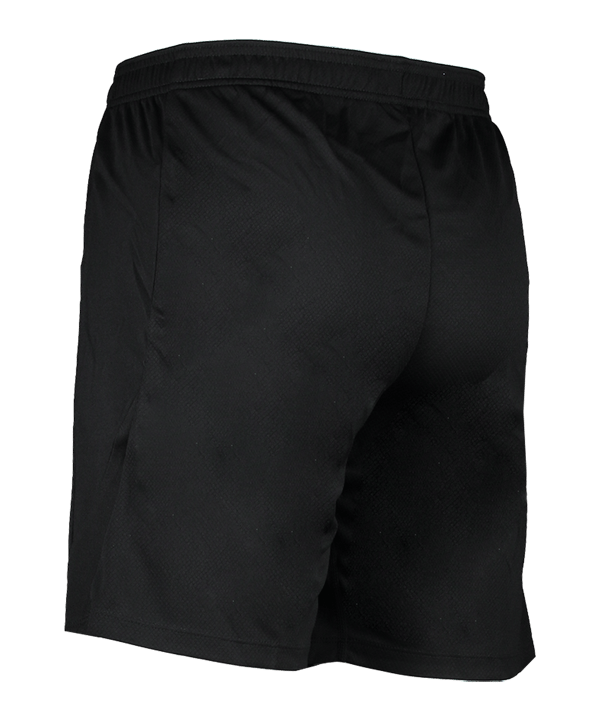 Nike Strike 24 Short Kids Schwarz Weiss F010 - schwarz