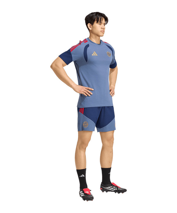 adidas FC Bayern München Downtime Short Blau - blau