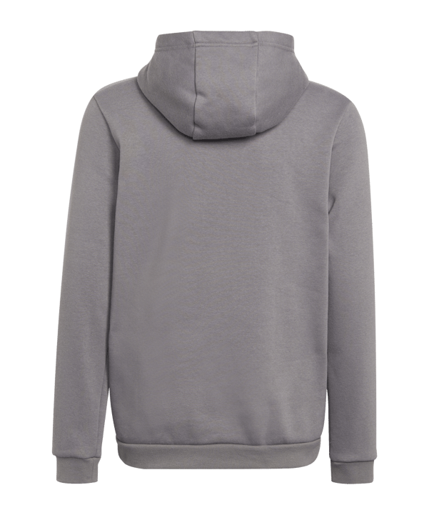 adidas Entrada 22 Hoody Kids Grau - grau