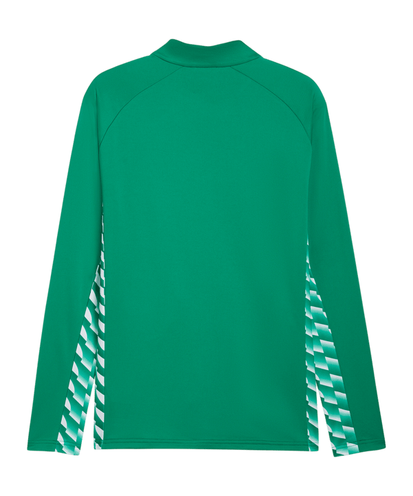 PUMA teamLIGA26 Trainingsjacke Grün F05 - gruen