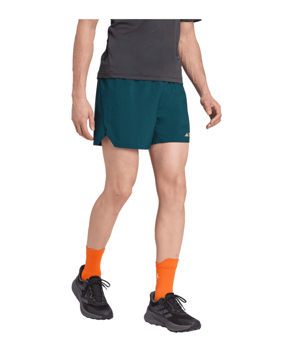 adidas Terrex Xperior Short Grün - gruen