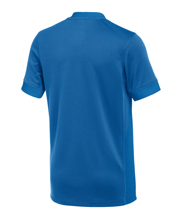 Nike Strike IV Trikot Kids Blau F463 - blau