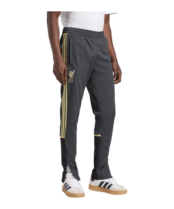 adidas FC Liverpool Lfstlr Track Hose Grau - grau