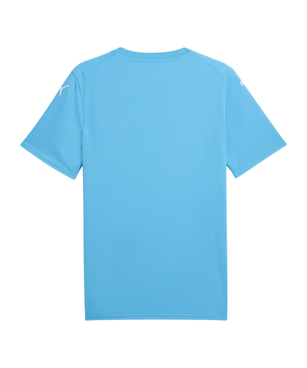 PUMA TeamFINAL Trikot Blau F18 - blau