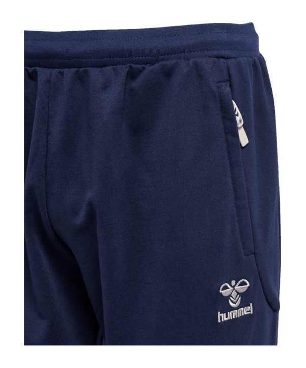 Hummel Move Grid Trainingshose Blau F7026 - blau