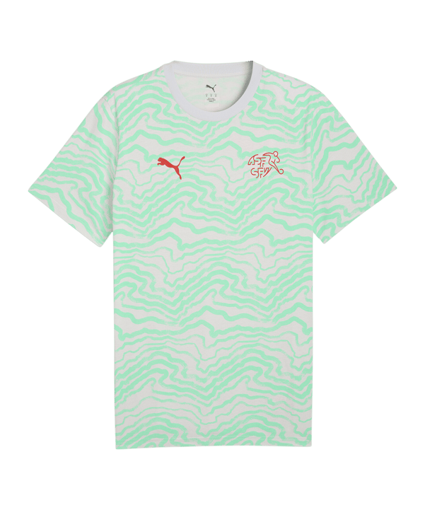 PUMA SFV Schweiz FtblCulture T-Shirt Grün F19 - gruen