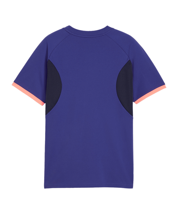 PUMA individualLIGA Trikot Kids Blau F01 - blau