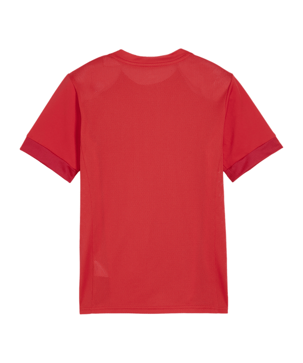PUMA teamGOAL Matchday Trikot Kids Rot Weiss F01 - rot