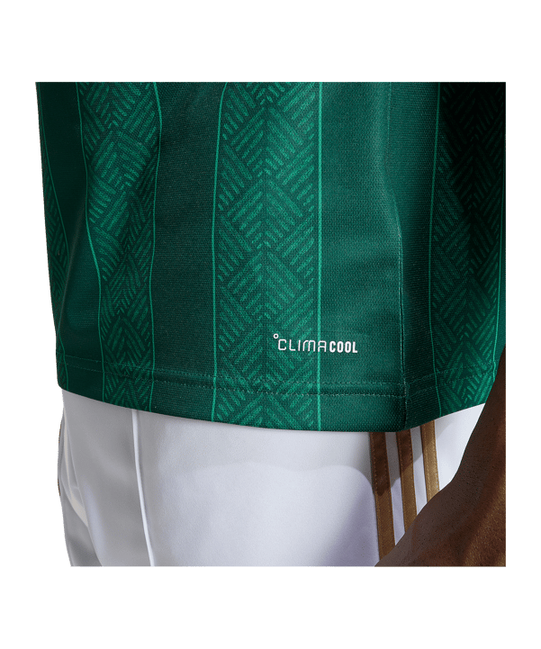 adidas RSA Südafrika Trikot Away WM 2026 Grün - gruen