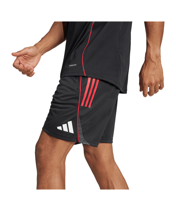 adidas Ajax Amsterdam Training Short Schwarz - schwarz
