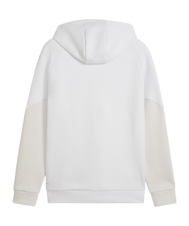 PUMA Borussia Dortmund Pumatech Fz Hoody Grau F18 - grau