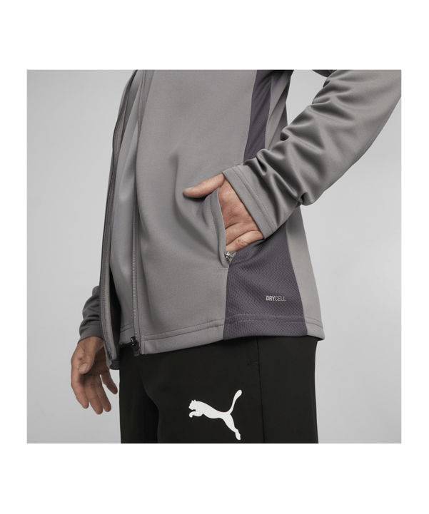 PUMA teamGOAL Trainingsjacke Grau F13 - grau