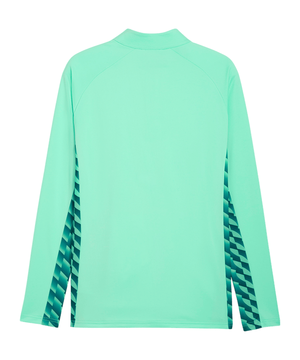 PUMA teamLIGA26 Trainingsjacke Grün F80 - gruen