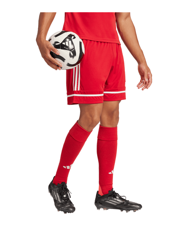 adidas Squadra 25 Short Rot - rot