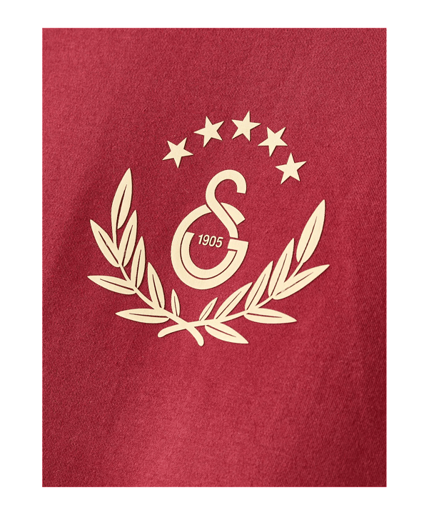 Galatasaray Istanbul T-Shirt Rot