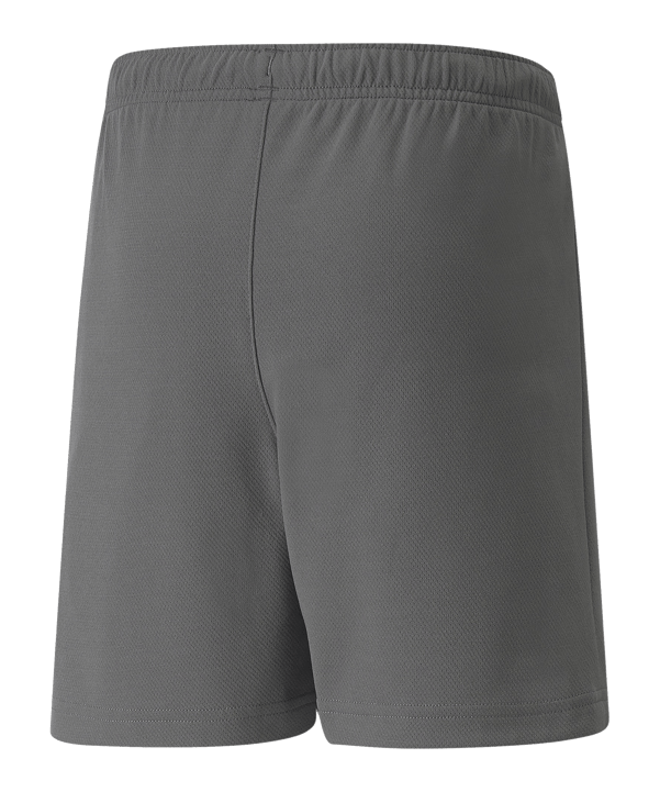 PUMA teamRISE Short Grau Weiss F13 - grau
