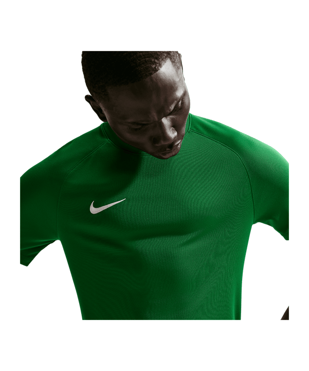 Nike Park VIII Trikot Grün F302 - gruen